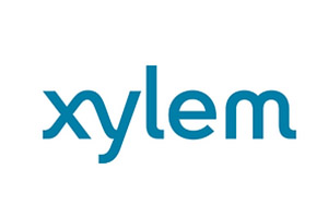 xylem